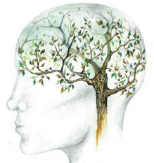 brain-tree
