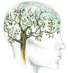 brain-tree2